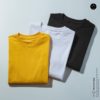 Branded Plain T-Shirts for Men and Women